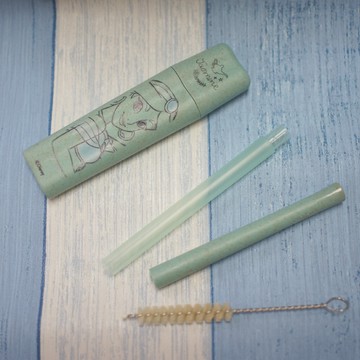 迪士尼聯名公主系列環保吸管