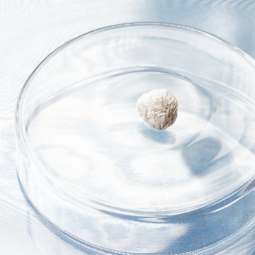 手工刺繡耳環・雲