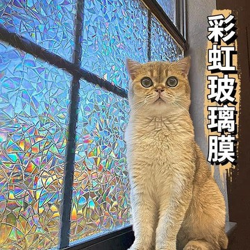 臺灣熱賣⚡窗戶玻璃貼紙 窗戶貼紙 玻璃貼紙透光高級感美式窗戶貼紙防走光貼膜浴室廁所衛生間防窺膜玻