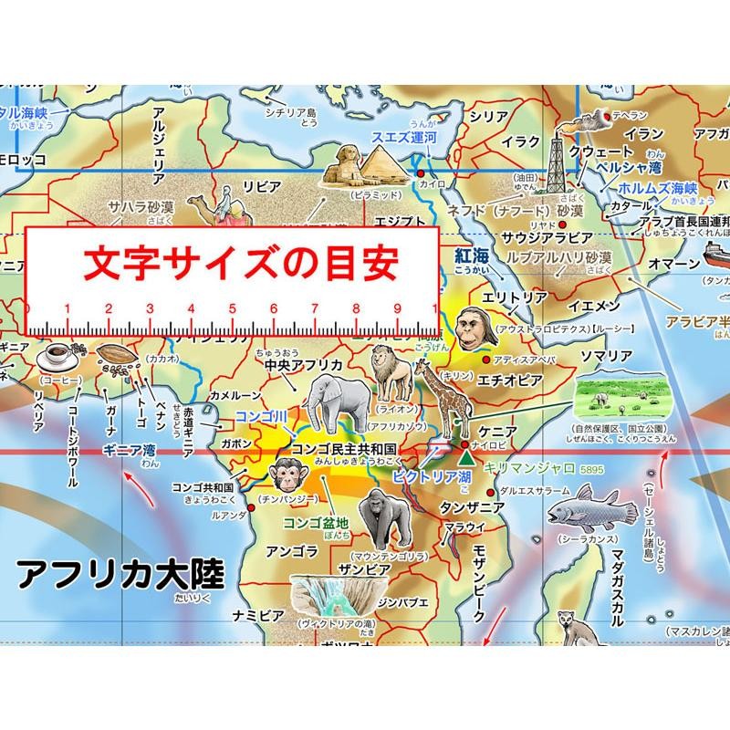 学べる世界地図」【封筒発送】小学校、中学校の学習に合わせた、学習用