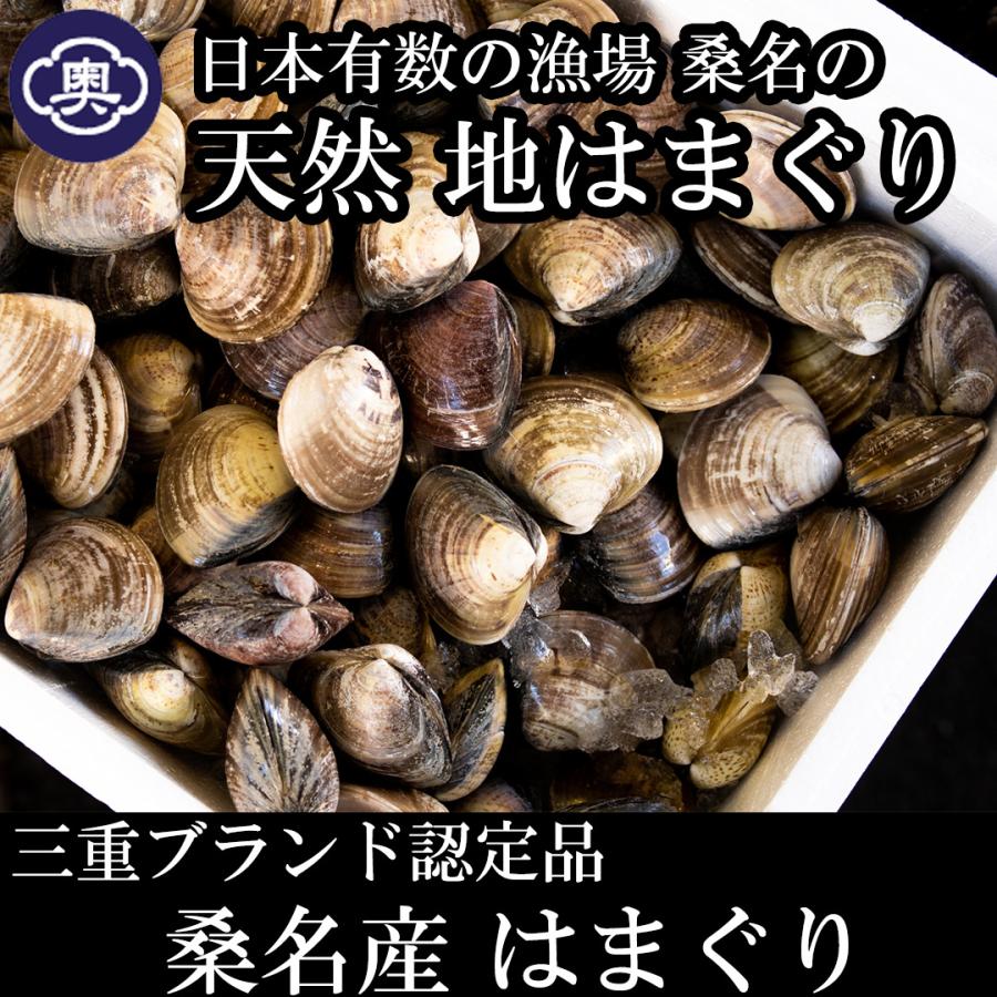 はまぐり 1kg 桑名産天然地はまぐり（大〜特) しゃぶ出汁付き 新商品