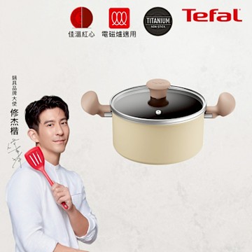 Tefal法國特福 Daisy系列20CM不沾雙耳湯鍋-加蓋(電磁爐適用)
