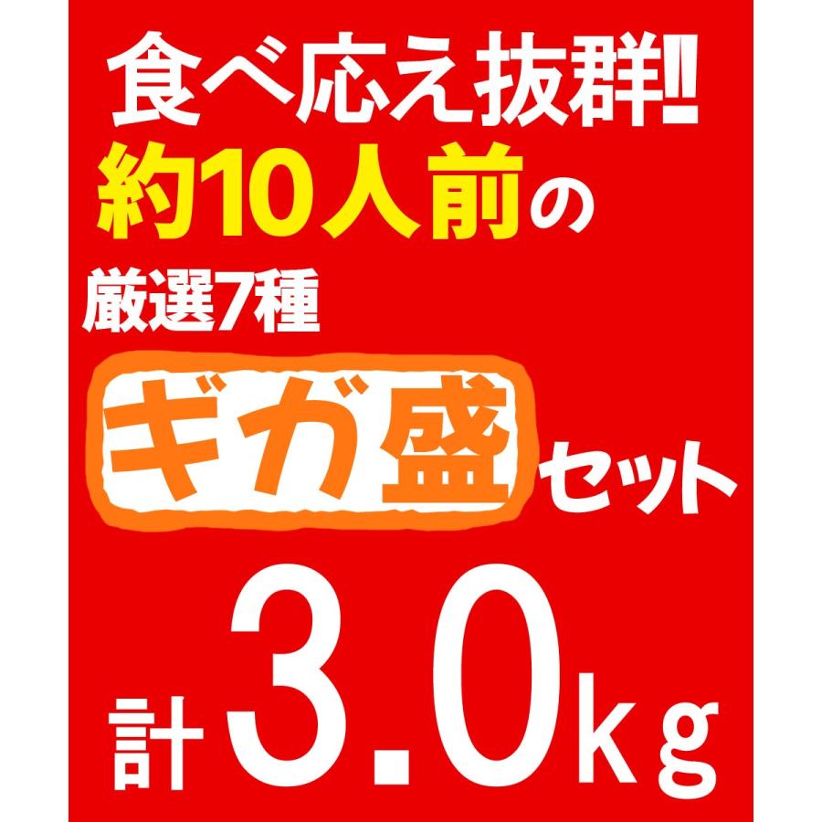 メガ盛り 焼肉セット 3kg コウネ カルビ ホルモン 鶏肉 特選 焼肉 ビールのお供 