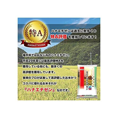 ハナエチゼン 5kg 福井県産 米 お米 白米 おこめ 華越前 単一原料米 ブランド米 5キロ 国内産 国産 令和4年産 (5kg)