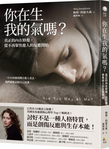 你在生我的氣嗎？：真正的內在修復，從不再聚焦他人的反應開始[二手書_近全新]