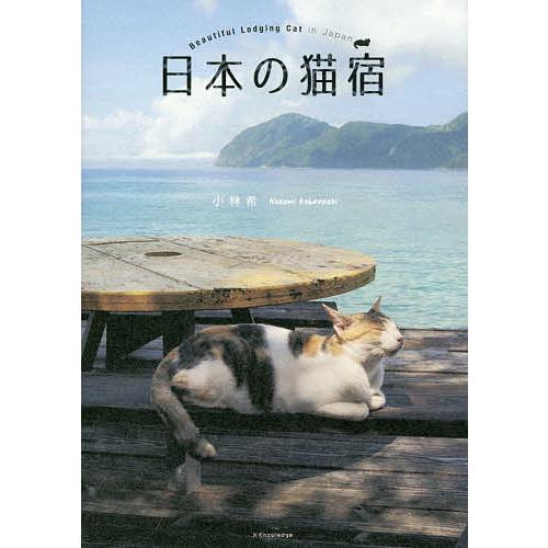 日本の猫宿