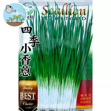 【原廠包裝】四季小香蔥種子 台灣現貨 廚房陽台必備 全年可種 現採現吃 料理調味 蔥花蛋 增香點綴 快速收成 新手超好種