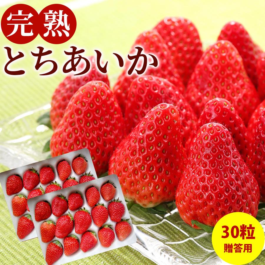 とちあいか 2Lサイズ 30粒入り 贈答用2パック 栃木県真岡産 送料無料 産地直送 フルーツ ギフト