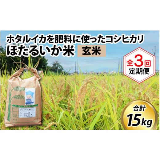 ふるさと納税 富山県 滑川市 ほたるいか米（玄米５kg）×3回 計15kg