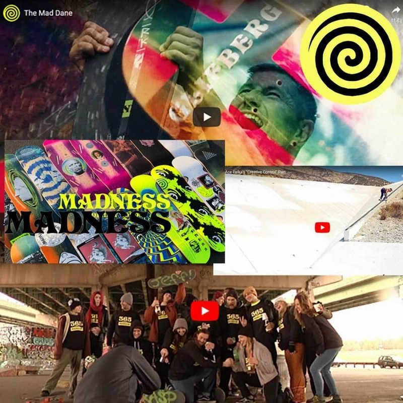 マッドネス 8.375 インチ スケボー デッキ Madness Skateboards Birdie