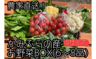 農家直送！ミニトマト500g入り！朝採れ野菜詰め合わせボックスS（6～8品入り）