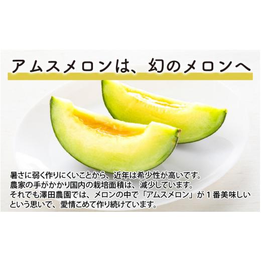 ふるさと納税 福井県 あわら市 アムスメロン（1.3kg以上 2玉入) とろけるような果肉が絶品！ ／ 期間限定 果物 フルーツ 産地直送 青肉 人気 ※20…