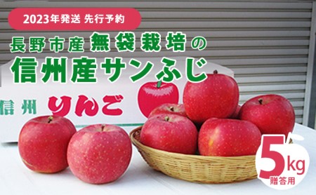 先行予約 長野市産無袋栽培の信州産サンふじ5kg（贈答用）2024年発送