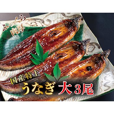 ふるさと納税 国産！特上うなぎのかば焼き 約200g × 3尾 福井県越前市