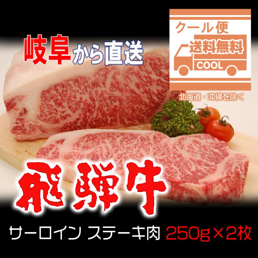 飛騨牛｜サーロイン｜ステーキ用 岐阜県から直送 500g(250g×2枚) 贈答仕様を冷凍便にてお届けいたします