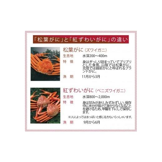 ふるさと納税 鳥取県 境港市 F2 松葉がに　ボイル姿（計1.8kg以上）