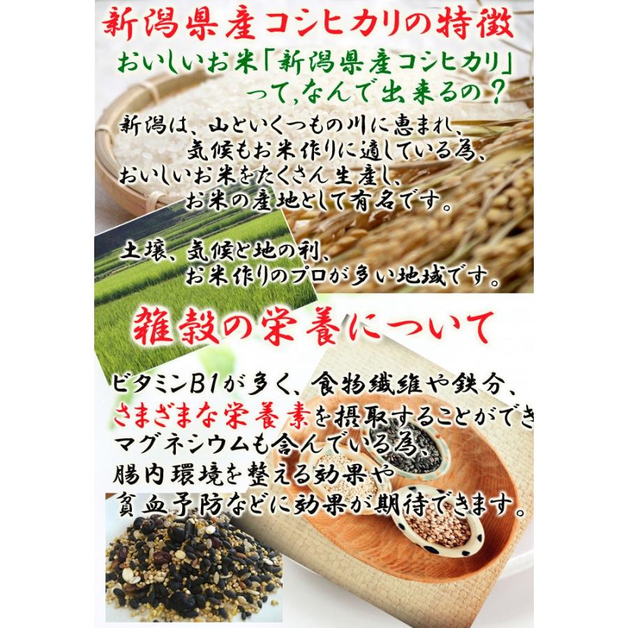 十六穀がゆ250ｇ 豆類 雑穀米 低カロリー レトルト食品 おかゆ 新潟県産こしひかり 国産 たいまつ食品