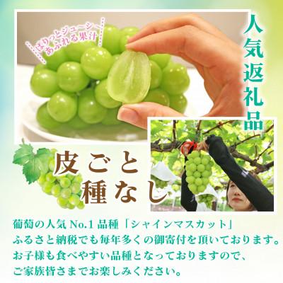 ふるさと納税 笛吹市 山梨県笛吹市 シャインマスカット2.5kg以上(4〜6房)