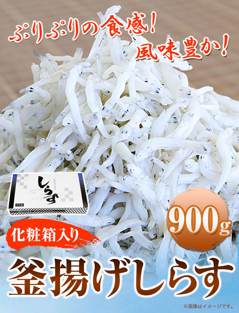 釜揚げしらす900g（化粧箱）　大五水産 《30日以内に順次出荷(土日祝除く)》 和歌山県 紀の川市 しらす 釜揚げしらす