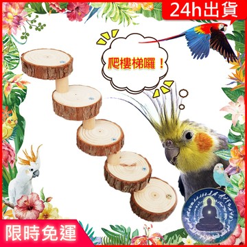 【寵物覺醒24h出貨】鸚鵡倉鼠樓梯爬梯倉鼠黃金鼠三線鼠老公公鼠一線鼠蜜袋鼯
鸚鵡玩具倉鼠用品倉鼠玩具