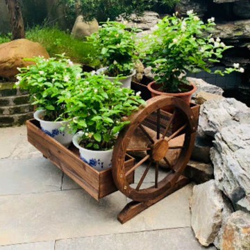 三輪花車大小園藝花車碳化防腐木花車花盆花槽花架花園陽臺創意