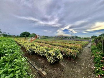 彰化埔心5米路好利用方正漂亮農地｜彰化縣埔心鄉仁華段