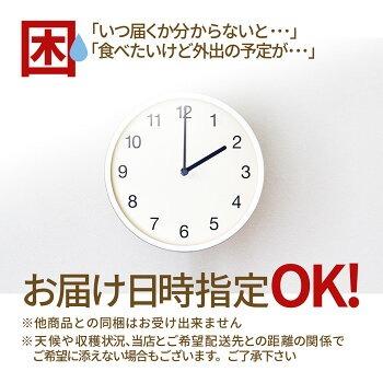 ＼只今、お届け中！日時指定OK／ 山形県産 赤肉メロン 秀品 約5kg (3〜5玉入り) 3L・4L玉 大玉 ギフト 贈答用 お中元 産地直送 庄内産 送料無料 果物 フルーツ