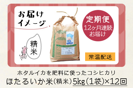 ほたるいか米（精米５kg）×12回 計60kg