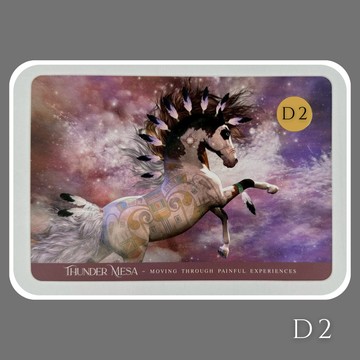 福袋王 神馬都有✦2026馬年水晶福袋限量1份