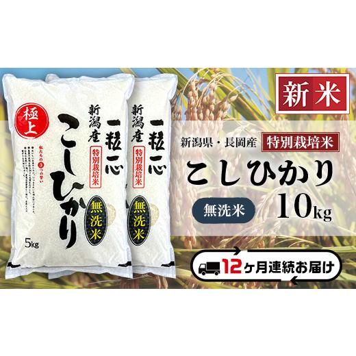 ふるさと納税 新潟県 長岡市 48-M10Z新潟県長岡産特別栽培米コシヒカリ10kg