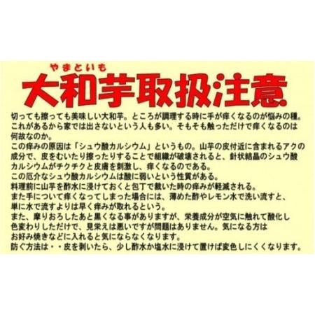 ふるさと納税 土付き大和芋AA品4kg（10〜12本）　 埼玉県深谷市