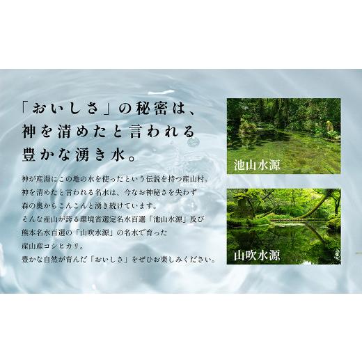 ふるさと納税 熊本県 産山村 ＜令和5年新米予約＞熊本県阿蘇うぶやま産こしひかり2kg×6袋