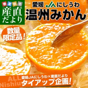 愛媛県より産地直送 JAにしうわ 西宇和みかん LからSサイズ 5キロ (約40から60玉) 送料無料 ミカン 蜜柑