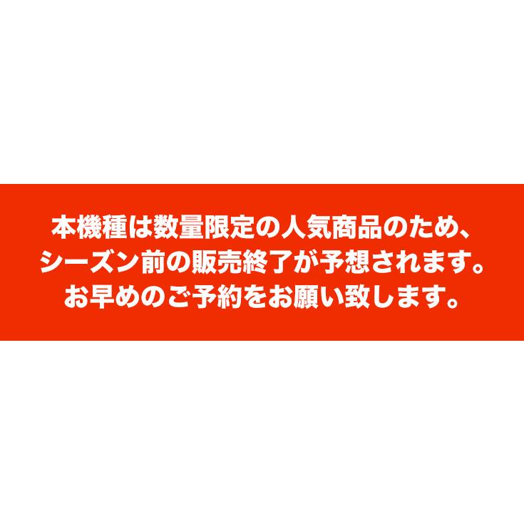 ＜即納 12月限定 直前割＞エンジン式除雪機（自走式）除雪幅56cm HG-K6560C