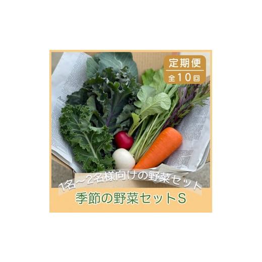 ふるさと納税 京都府 綾部市 京都府綾部市の季節の野菜セットS（1〜2名様分）農薬不使用 無農薬 新鮮 野菜 セット 詰め合わせ 京都 綾部 農家…