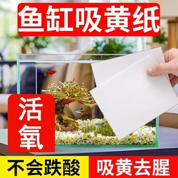 🔥臺灣出🔥魚缸吸色片去黃水污力丸淨水寶活性淨化水質清澈劑魚缸除黃水綠水