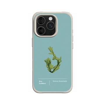 iPhone 16 Pro SolidX 貝殼灰 - The Seaweed Studio - 德文郡・美扇藻研習