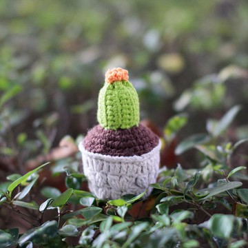 BD有機棉編織‧仙人掌‧小人退散(公)