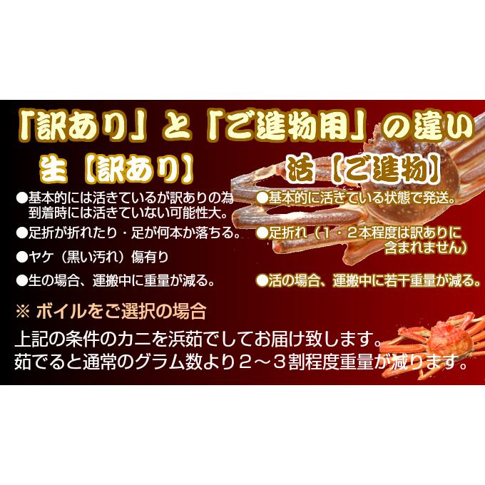 松葉がに ボイル（茹で）(カニ 蟹 かに） 1,5kg  2-5枚  訳あり ズワイガニ （松葉ガニ 松葉蟹）鳥取産 松葉蟹 送料無料