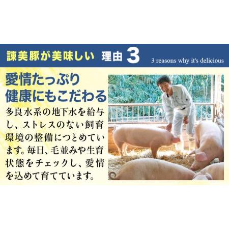 ふるさと納税 『定期便』_すっきり上質な脂身！長崎のブランド豚　諫美豚(かんびとん)のロースステーキセット800g_全10回 長崎県諫早市