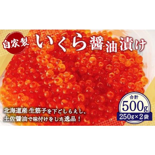 ふるさと納税 北海道 小樽市 自家製 いくら ?油漬け 500g