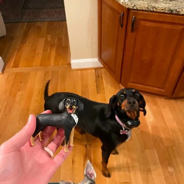 【客製化3D寵物紀念公仔】訂製手作似顏繪肖像狗狗貓咪毛小孩娃娃