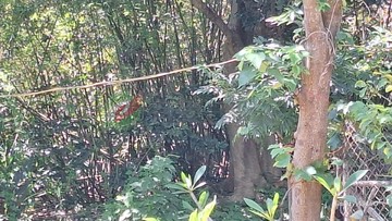 近明新科大新豐鳳坑悠然慢活農園地｜新竹縣新豐鄉鳳坑段