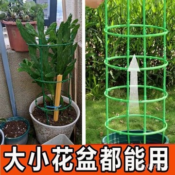 臺灣有貨⚡陽臺多層蘭圓形花架子室內家用支架通用型支撐桿客廳支架綠蘿花架
室內陽臺客廳綠蘿花架多層蘭圓支架支撐桿家用通用型