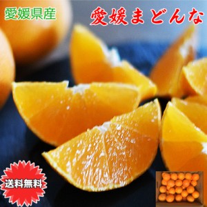 紅まどんな 紅マドンナ 愛媛マドンナ 送料無料 愛媛県 愛媛まどんな 5Lサイズ 2.5kg 茶箱 あいか 愛果28号 ご家庭用 バラ詰め お試し お