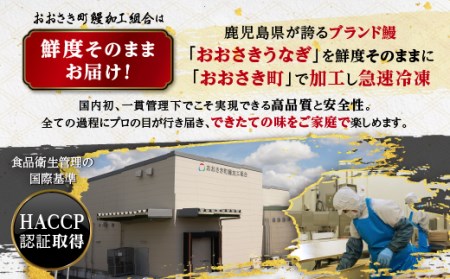 おおさきうなぎ鹿児島県産うなぎ長蒲焼2尾(全3回)合計6尾