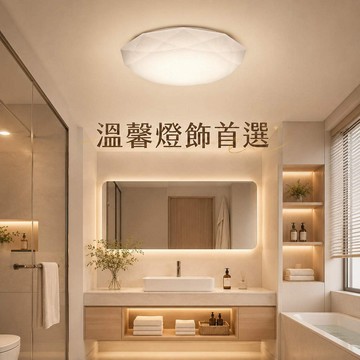 16W 白光吸頂燈 031-0294N