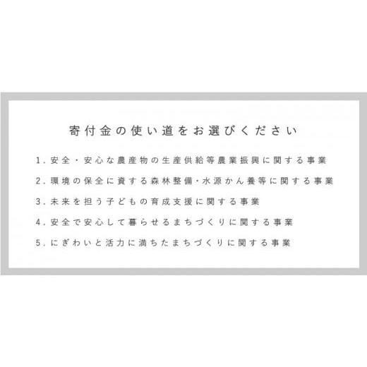 ふるさと納税 北海道 当麻町 特別栽培米ななつぼし 5kg×6回 舟山農産