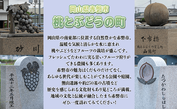 ぶどう 2024年 先行予約 シャイン マスカット 1房 約700g 贈答箱 ブドウ 葡萄 フルーツ 果物 岡山 赤磐市産 農マル園芸 あかいわ農園