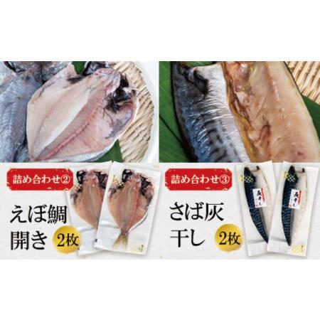 ふるさと納税 高級 干物 詰め合わせ セット 枚 あじ 干物 さば 干物 真ほっけ 干物 銀鮭 えぼ鯛 干物 日和屋 沼津 静岡県沼津市